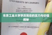 解码东京工业大学学历，揭秘其背后的非凡实力与珍贵价值