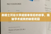 泰晤士河谷大学成绩单背后的传奇，探寻学术成就的神秘绿洲