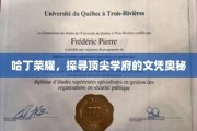 文凭背后的荣耀，哈丁学府揭秘之旅