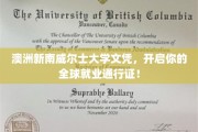 国际职场绿卡，澳洲新南威尔士大学文凭，助你通行全球
