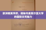 解码丹麦奥尔堡，揭秘国际文凭背后的欧洲精英学府魅力