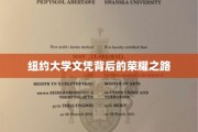 纽约大学文凭背后的荣耀之路